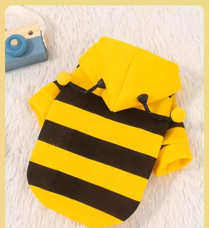 Costum de transformare pentru pisici, toamnă-iarnă, anti-păr, RagDoll, gradient albastru, inspirat de Bichon Frise, drăguț și haios