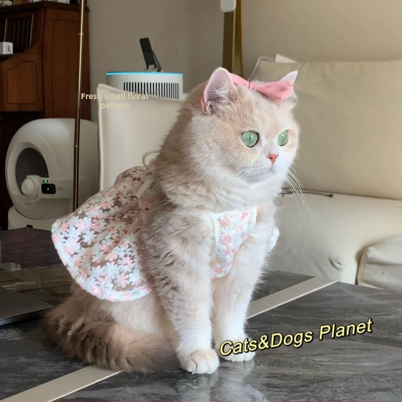 rochie cu bretele pentru pisici Maine Coon/Ragdoll, ținută drăguță de prințesă, nuanță aurie în gradient.