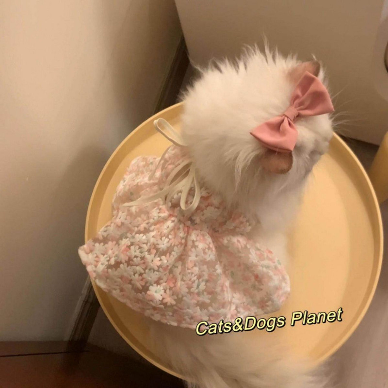 rochie cu bretele pentru pisici Maine Coon/Ragdoll, ținută drăguță de prințesă, nuanță aurie în gradient.