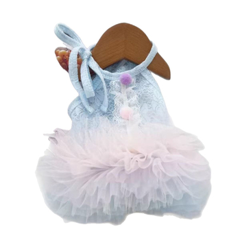 Fustă tutu de vară din dantelă, gradient, pentru animale de companie — stil prințesă pentru câini și pisici