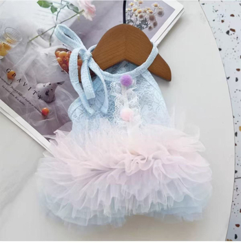 Fustă tutu de vară din dantelă, gradient, pentru animale de companie — stil prințesă pentru câini și pisici