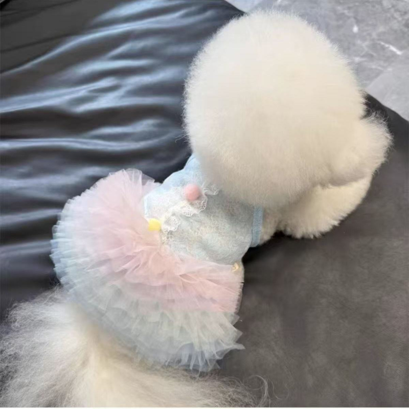 Fustă tutu de vară din dantelă, gradient, pentru animale de companie — stil prințesă pentru câini și pisici