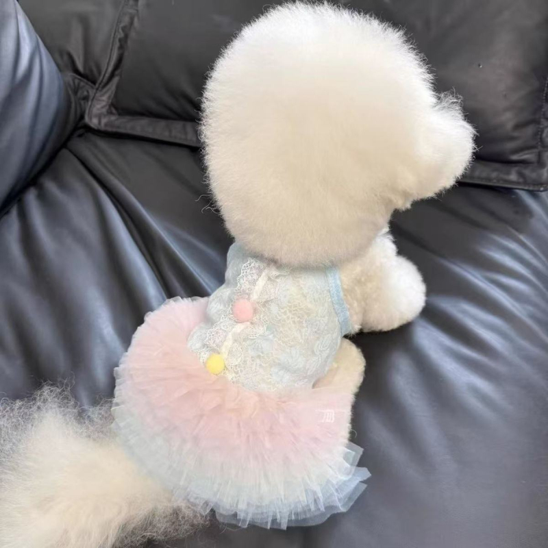 Fustă tutu de vară din dantelă, gradient, pentru animale de companie — stil prințesă pentru câini și pisici