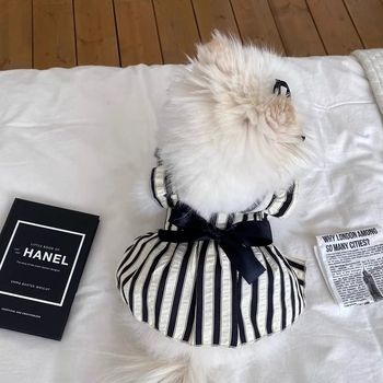 Rochie pentru câini mici, cu dungi negre și albe, stil Hepburn, cu fundă și lesă, pentru Bichon Frisé