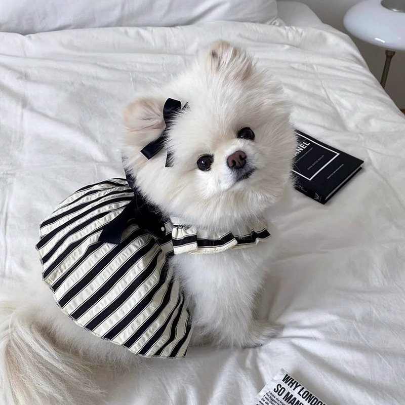 Rochie pentru câini mici, cu dungi negre și albe, stil Hepburn, cu fundă și lesă, pentru Bichon Frisé