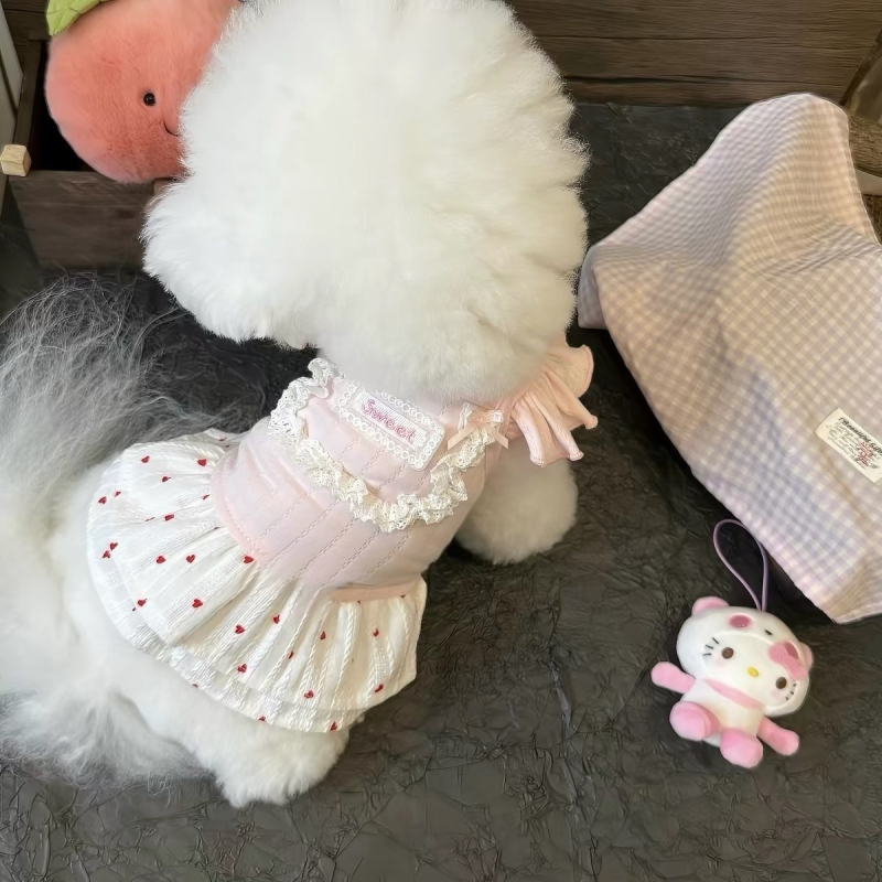 Fustă Teddy pentru câini și pisici mici – îmbrăcăminte de vară ușoară pentru animale de companie, pentru rasele Bichon Frisé, Pomeranian, Yorkshire Terrier