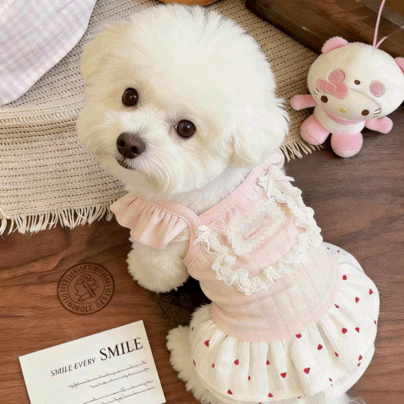 Fustă Teddy pentru câini și pisici mici – îmbrăcăminte de vară ușoară pentru animale de companie, pentru rasele Bichon Frisé, Pomeranian, Yorkshire Terrier
