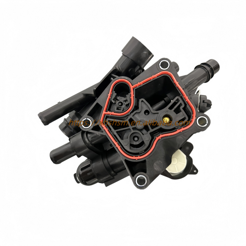Ansamblu de termostat 256002S000 256002S001