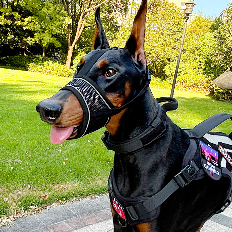 Botniță de câine pentru prevenirea mușcăturilor, a lătratului și a mâncatului în exces, permite să bei apă, pentru rase medii și mari (Dobermann, Golden Retriever, German Shepherd)