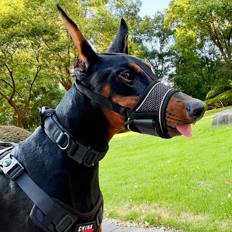 Botniță de câine pentru prevenirea mușcăturilor, a lătratului și a mâncatului în exces, permite să bei apă, pentru rase medii și mari (Dobermann, Golden Retriever, German Shepherd)