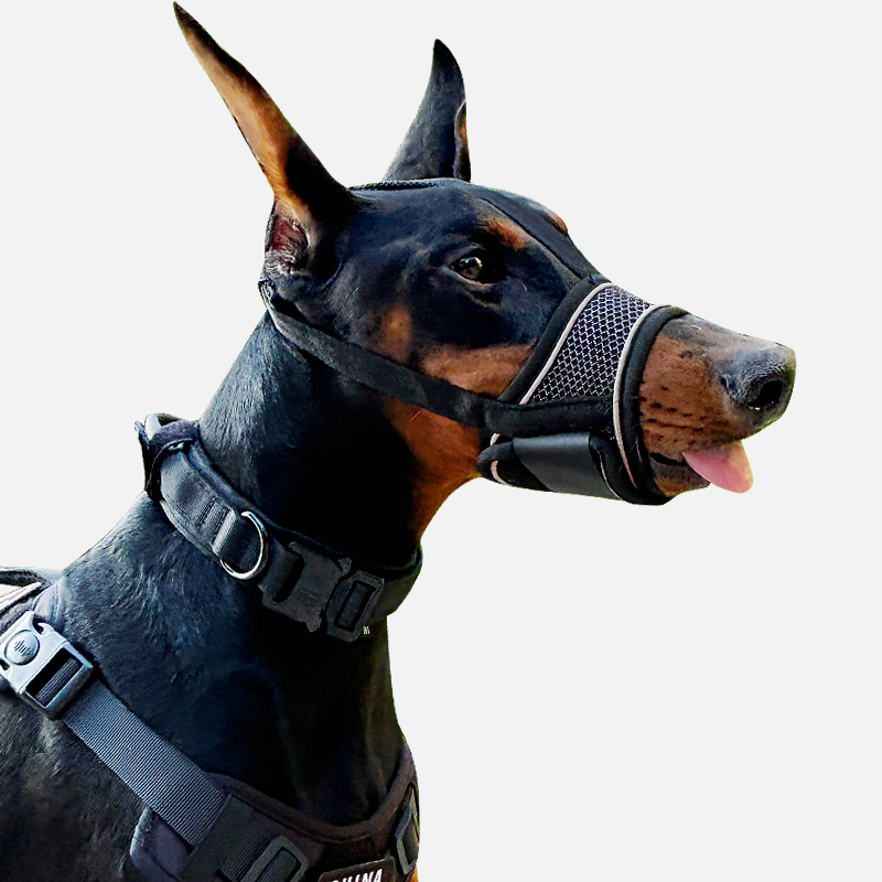 Botniță de câine pentru prevenirea mușcăturilor, a lătratului și a mâncatului în exces, permite să bei apă, pentru rase medii și mari (Dobermann, Golden Retriever, German Shepherd)