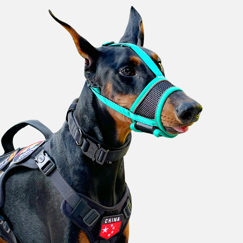 Botniță de câine pentru prevenirea mușcăturilor, a lătratului și a mâncatului în exces, permite să bei apă, pentru rase medii și mari (Dobermann, Golden Retriever, German Shepherd)