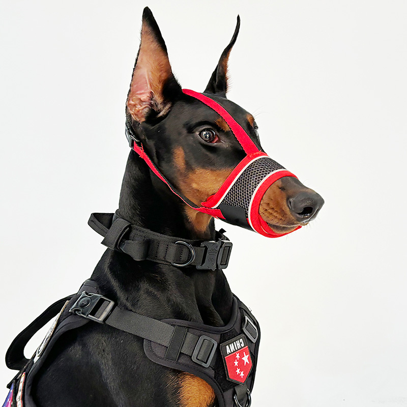 Botniță de câine pentru prevenirea mușcăturilor, a lătratului și a mâncatului în exces, permite să bei apă, pentru rase medii și mari (Dobermann, Golden Retriever, German Shepherd)