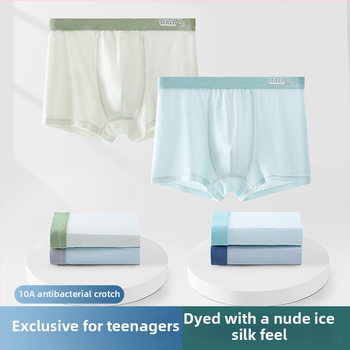 Boxeri pentru băieți adolescenți, din ice silk, vară, subțiri, respirabili, cu plasă