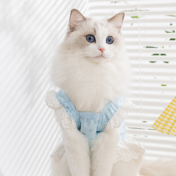 Rochie pentru pisici și câini mici, primăvară-vară, în stil domnișoară, cu dantelă cu model de fluture și bretele