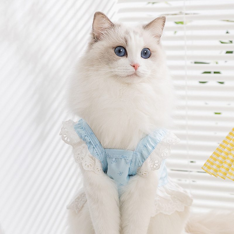 Rochie pentru pisici și câini mici, primăvară-vară, în stil domnișoară, cu dantelă cu model de fluture și bretele