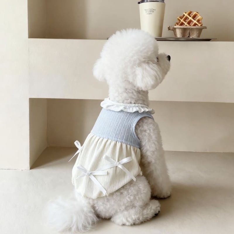 Rochie-vestă în stil coreean INS pentru câini mici și vestă pentru pisici — Bichon Frisé, Teddy, Pomeranian