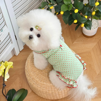 Rochie de primăvară pentru câini mici cu protecție a abdomenului și guler cu rever – potrivită pentru Bichon Frisé și Shih Tzu, pentru toate anotimpurile