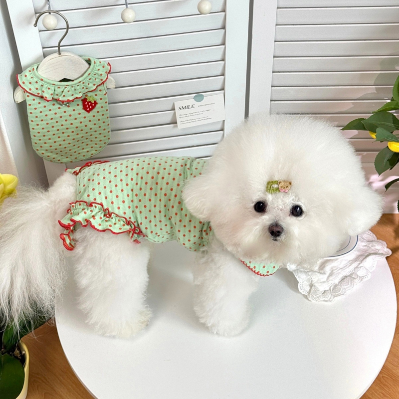 Rochie de primăvară pentru câini mici cu protecție a abdomenului și guler cu rever – potrivită pentru Bichon Frisé și Shih Tzu, pentru toate anotimpurile