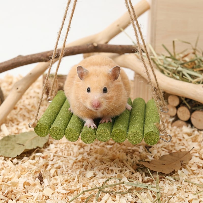 Jucărie de mestecat cu iarbă pentru hamster, hamac atârnat - decor peisaj cu iarbă Timothy
