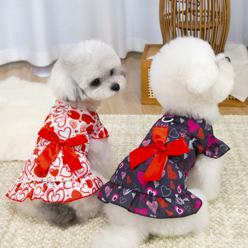 Rochie pentru cățeluși, stil prințese, pentru Bichon Frisé/Teddy-Bichon, primăvară-vară.