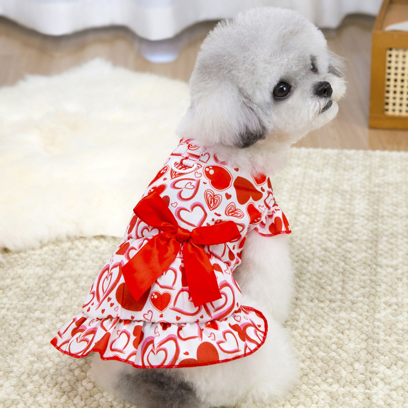 Rochie pentru cățeluși, stil prințese, pentru Bichon Frisé/Teddy-Bichon, primăvară-vară.