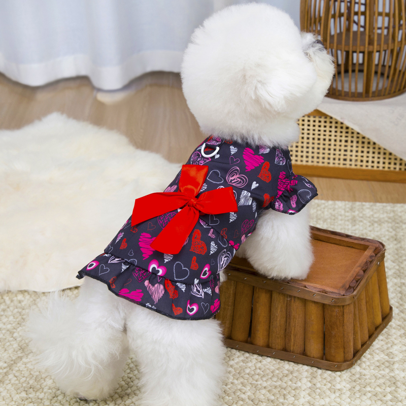Rochie pentru cățeluși, stil prințese, pentru Bichon Frisé/Teddy-Bichon, primăvară-vară.
