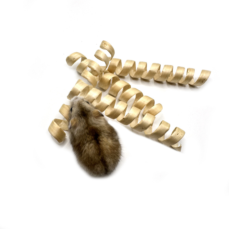 Jucării împletite manual din salcie, cu șnur spiral pentru animale mici — hamsteri și păsări; accesorii pentru papagali, piese mici de jucărie
