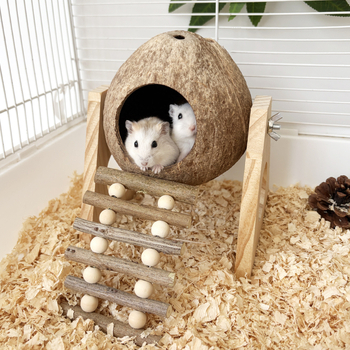 Jucărie din lemn pentru hamster cu scară din crenguțe, adăpost din coajă de nucă de cocos și platformă scenică pentru mestecat și alinarea plictiselii