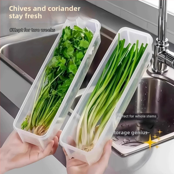Cutie de depozitare alimentară pentru frigider cu ceapă verde, coriandru, ghimbir, usturoi, tăiței și ouă