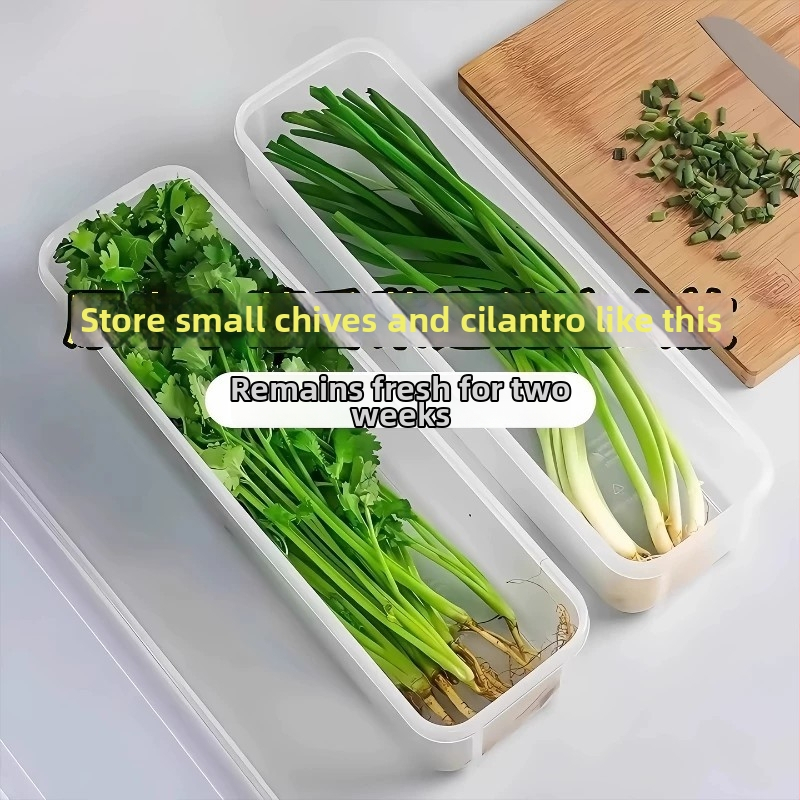 Potravinársky úložný box do chladničky na zelenú cibuľku, koriander, zázvor, cesnak, rezance a vajcia