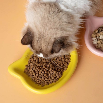 Vas din plastic pentru hrana pisicii, castron pentru pisicuțe, farfurie pentru conserve, bol pentru animale de companie