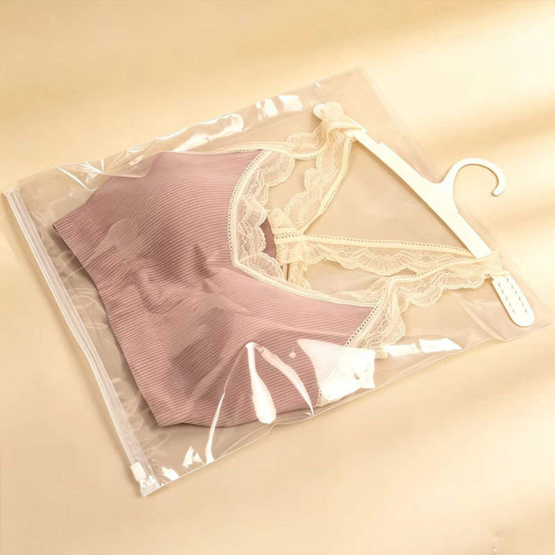 Sac de depozitare pentru lenjerie feminină, cu cârlig pentru agățat și fermoar, material PE, ambalaj transparent