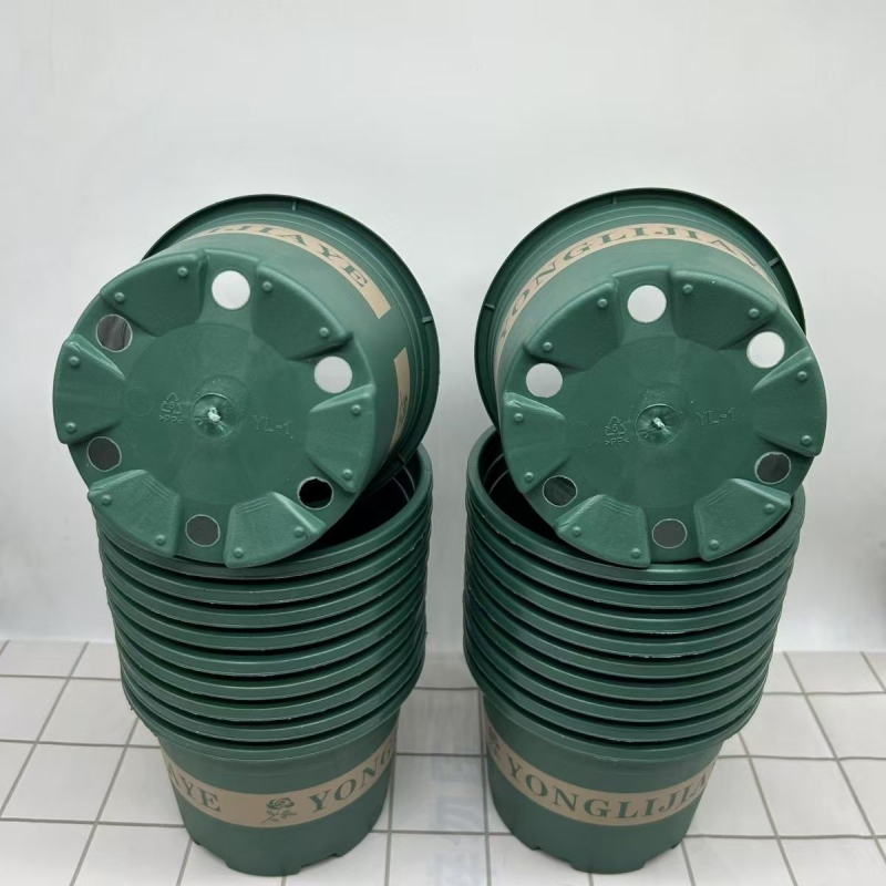 20 ghivece plastice pentru suculente, diametrul 14,5 cm, înălțimea aproximativ 10 cm, ghivece de 150 galoni, a cincea generație
