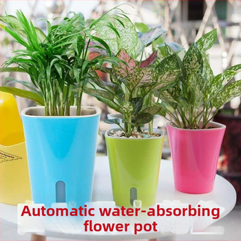 Ghiveci din plastic auto-udare, în culori bomboane, cu nivel vizibil al apei, pentru plante verzi.