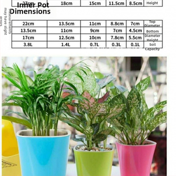 Ghiveci din plastic auto-udare, în culori bomboane, cu nivel vizibil al apei, pentru plante verzi.