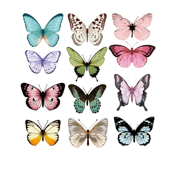 Buchet 3D colorat din PVC cu fluturi, accesorii decorative pentru ambalaj, fundal pentru selfie și transmisiuni în direct