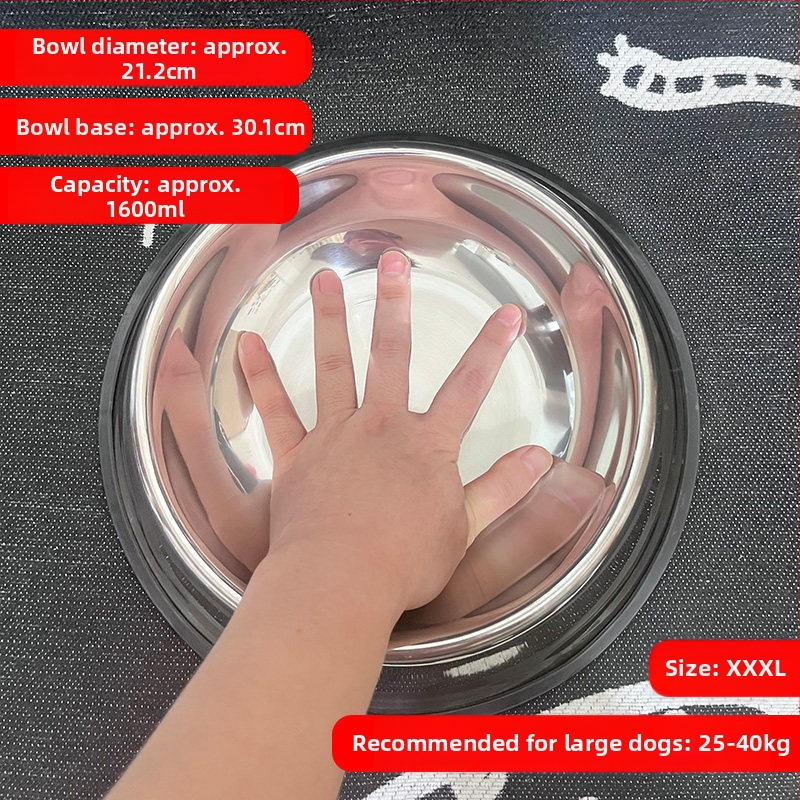 Vas de hrănire din oțel inoxidabil pentru câini mari (Labrador și Golden Retriever) – durabil și anti-vărsare.