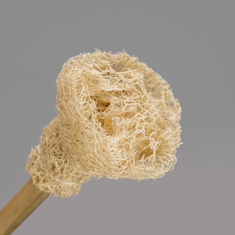 Perie naturală din luffa pentru ceainic și ceașcă, set Gongfu de ceai, stil minimalist