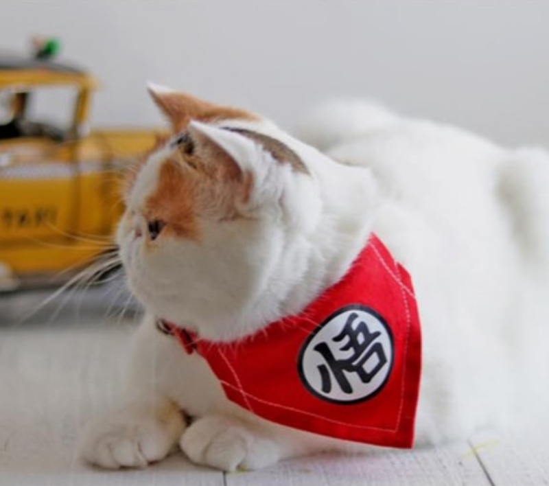 Bandană triunghiulară pentru animale de companie cu etichetă gravată și bavetă pentru saliva – accesoriu drăguț pentru câini și pisici mici și mijlocii