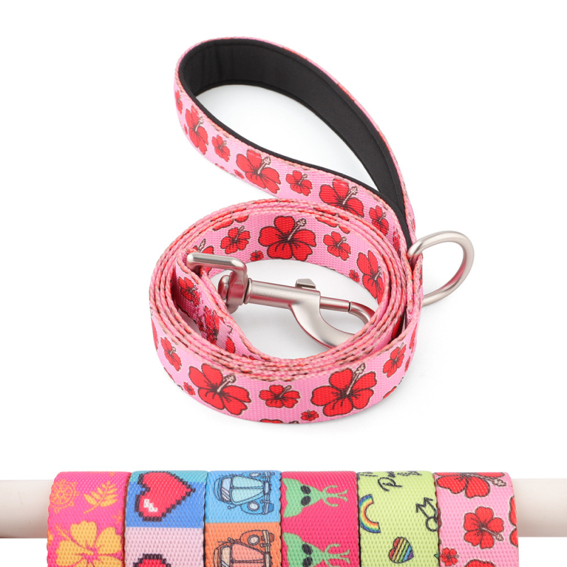 Lesă din nylon cu imprimare prin transfer termic pentru Bulldog Francez și Shiba Inu, potrivită pentru câini mari, medii și mici, lanț P