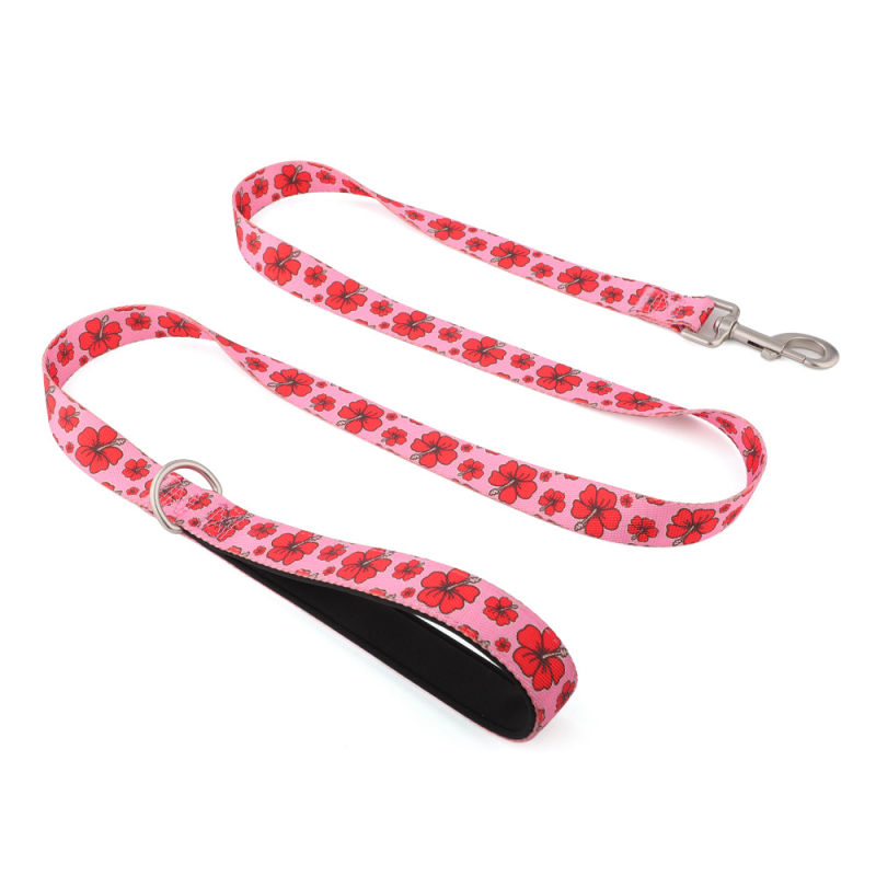 Lesă din nylon cu imprimare prin transfer termic pentru Bulldog Francez și Shiba Inu, potrivită pentru câini mari, medii și mici, lanț P