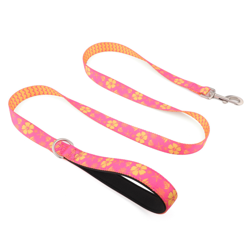 Lesă din nylon cu imprimare prin transfer termic pentru Bulldog Francez și Shiba Inu, potrivită pentru câini mari, medii și mici, lanț P