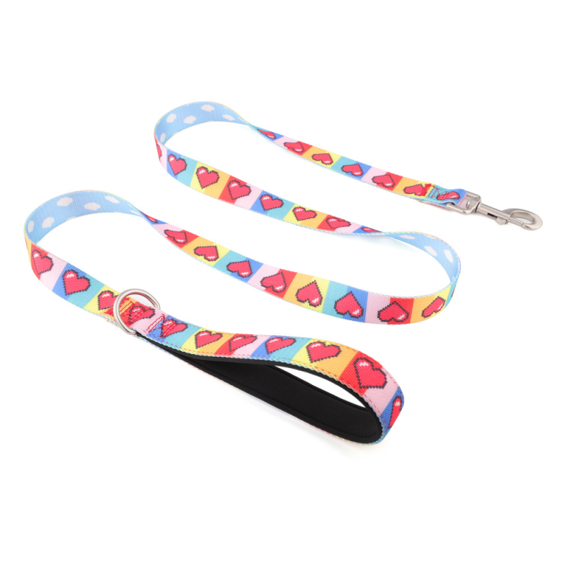 Lesă din nylon cu imprimare prin transfer termic pentru Bulldog Francez și Shiba Inu, potrivită pentru câini mari, medii și mici, lanț P