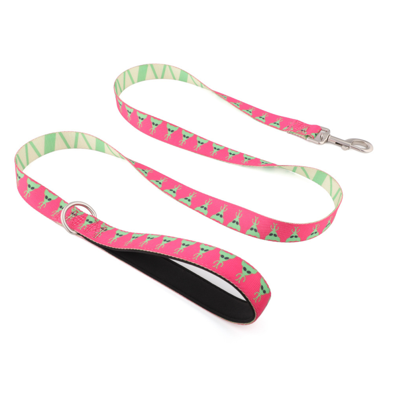 Lesă din nylon cu imprimare prin transfer termic pentru Bulldog Francez și Shiba Inu, potrivită pentru câini mari, medii și mici, lanț P