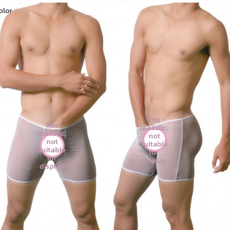 Boxeri bărbați din plasă transparentă – lenjerie sexy