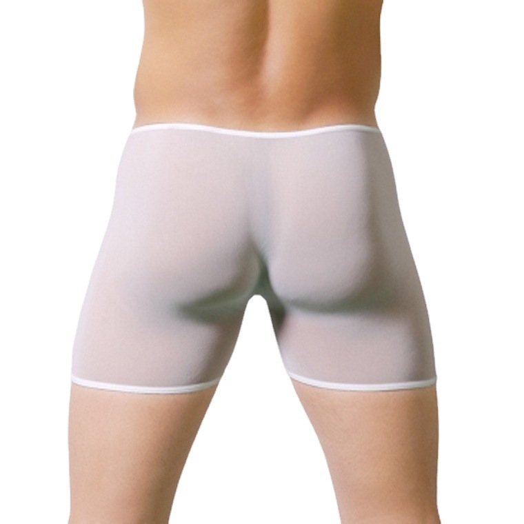 Boxeri bărbați din plasă transparentă – lenjerie sexy