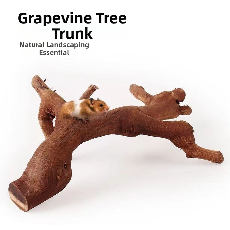 Hračka pre škrečka z prírodného hroznového dreva s vtáčím bidielkom a stojanom na brúsenie pazúrov, dizajn konára, dekorácia pre škrečky a činčily