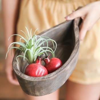 Tăviță din lemn în stil Wabi-Sabi – farfurie pentru fructe, decor pentru living