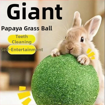 Jucărie pentru hamster: minge de iarbă pentru mestecat cu papaya și iarbă Timothy – gustare interactivă